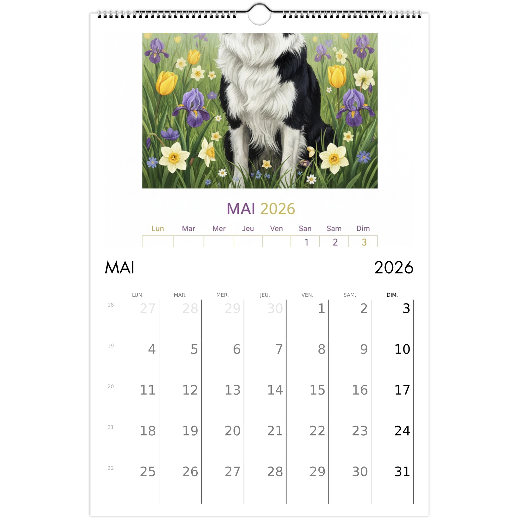 09b755a3-2649-4021-b491-faf9830f311e