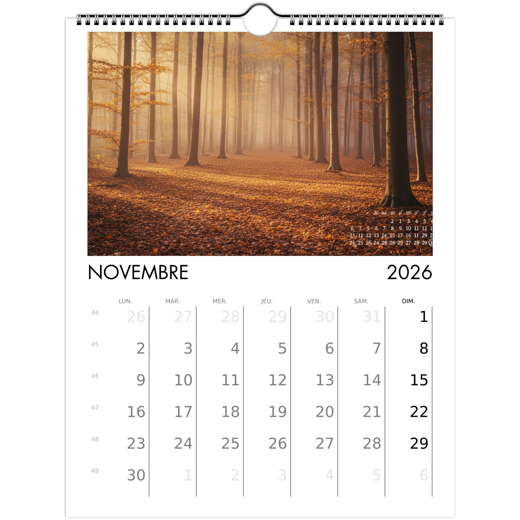 5c119002-c295-4781-9ea1-35c95436fc84