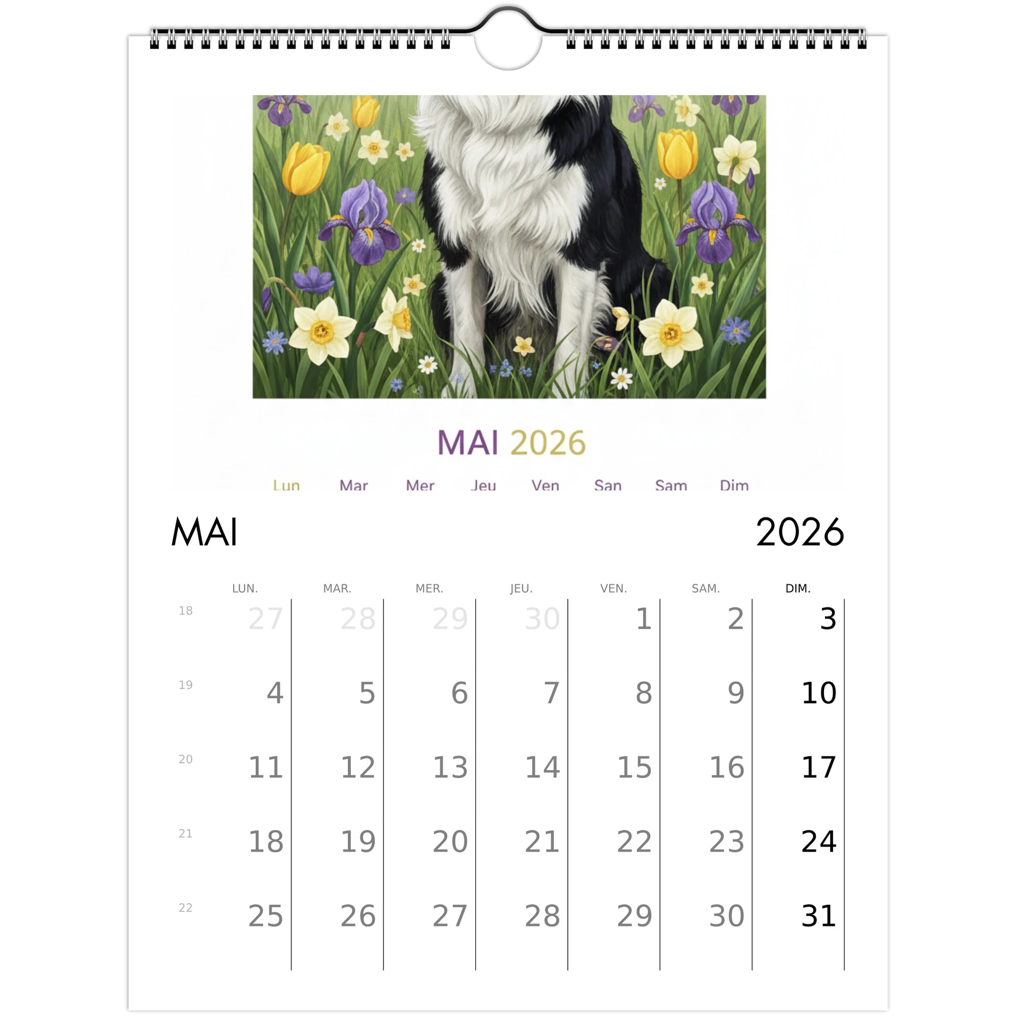 97e8a661-1ee4-43eb-9063-afaecb9c3020